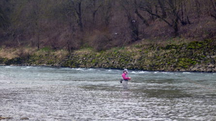 Sylvie sucht die Hechte im Hinterwasser - Altrhein 2014