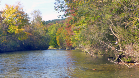 Herbst am Fluss - wunderschön!