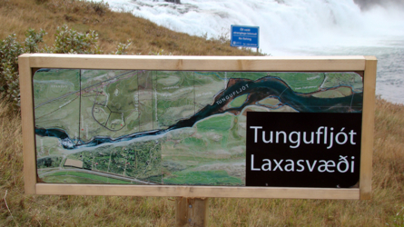 Der Tungufljot im Süden von Island