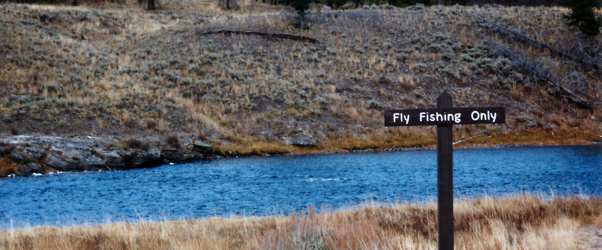 Flyfishing only - Madison Rivers