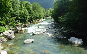 Trentino 2019